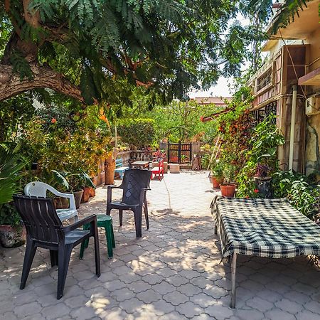 הוילה בהוי Jaat House מראה חיצוני תמונה