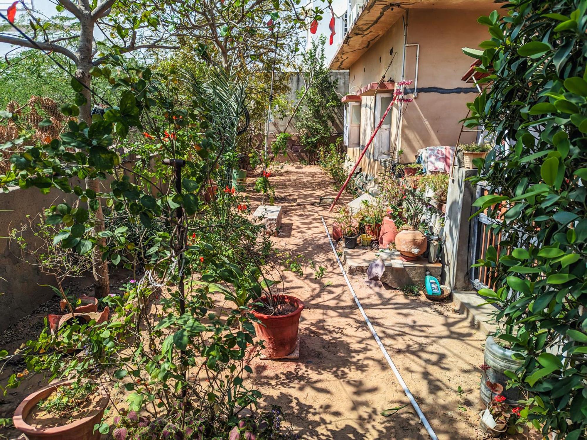 הוילה בהוי Jaat House מראה חיצוני תמונה